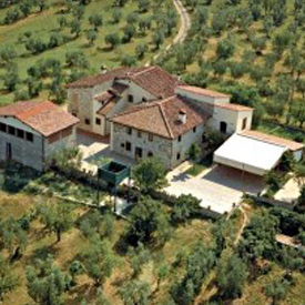 Azienda Agricola L’Antellino